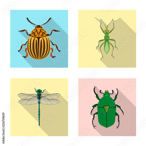 Vector design of insect and fly icon. Set of insect and element stock symbol for web. © Svitlana