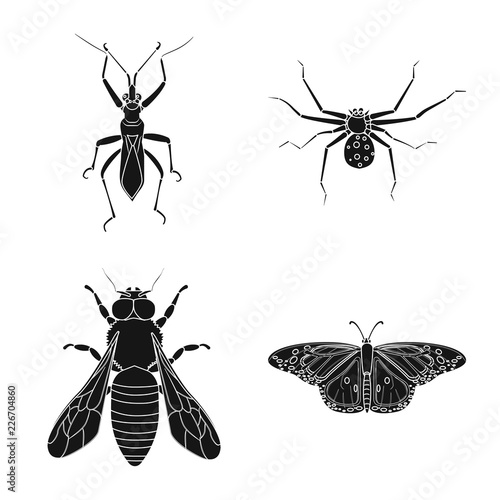 Vector design of insect and fly icon. Set of insect and element stock vector illustration.