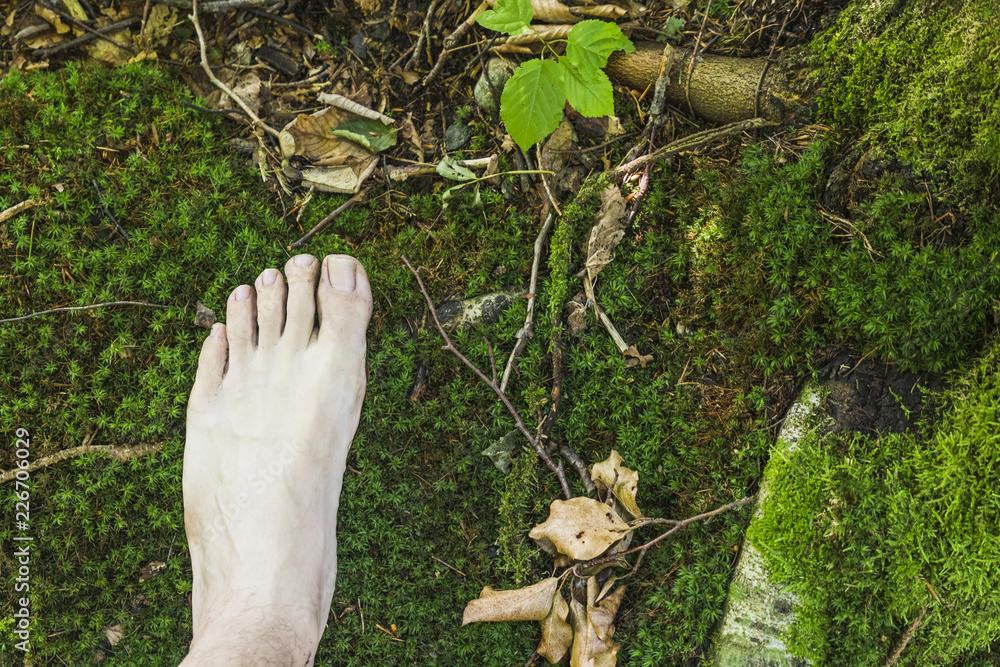 A barefoot aerial view on mossy surface in the forest