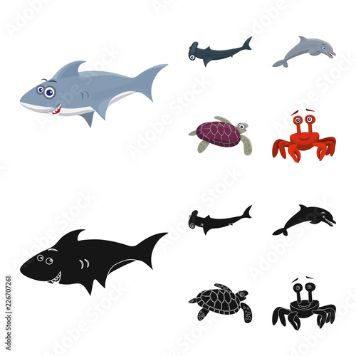 Isolated object of sea and animal symbol. Set of sea and marine stock symbol for web.