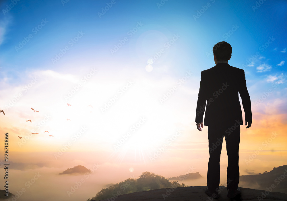 Business concept: a businessman standing on the mountain top