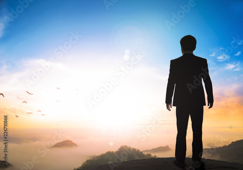 Business concept: a businessman standing on the mountain top