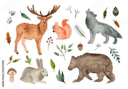 watercolor illustration forest team animals. hand painted isolated elements. © alenaganzhela