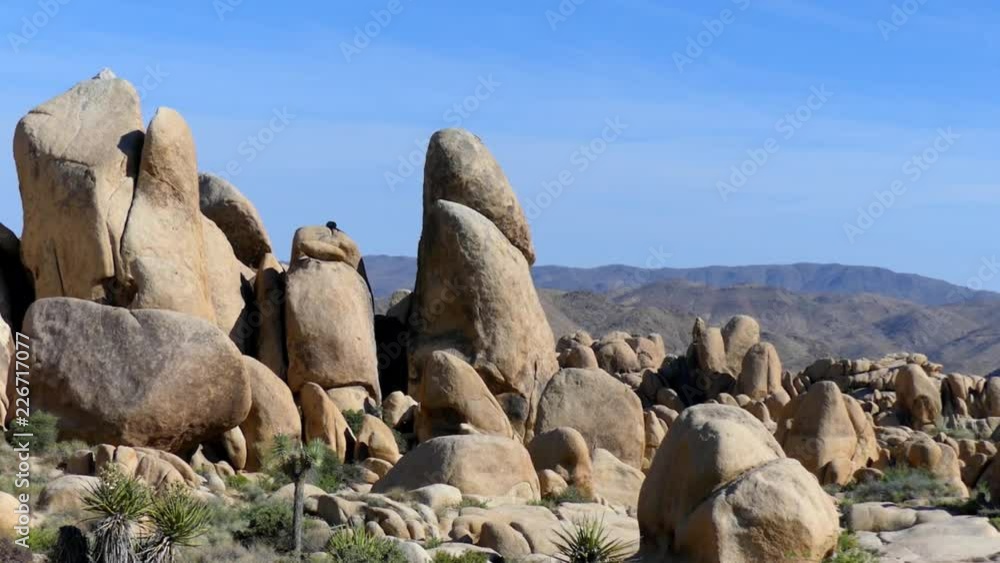 The Joshua Tree National Park in southeastern California, USA, 2017 The Joshua Tree National Park in southeastern California, USA, 2017