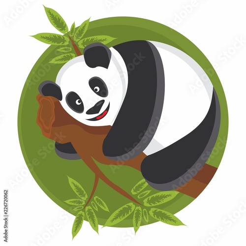 Fototapeta Naklejka Na Ścianę i Meble -  Vector cartoon panda