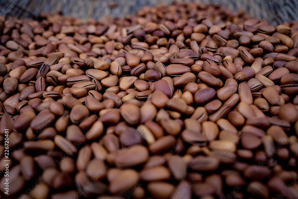 Snack seeds Snack seeds