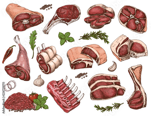 Vector set of different color meats in sketch style