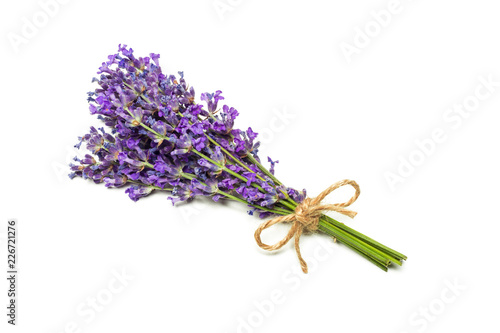 Lavender flowers on white background