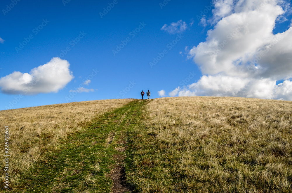 Hikers in sceanic view 