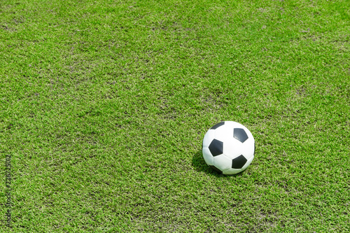 football field  ball on green grass , soccer field athletics background © suphaporn