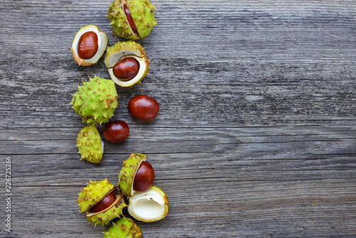 Chestnut on old wooden background with copy space for your text. Top view
