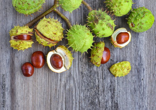 Chestnut on old wooden background with copy space for your text. Top view