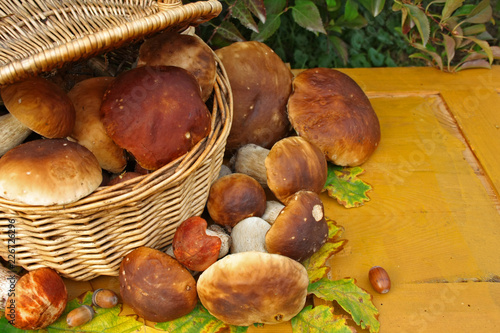 Świeżo zebrane borowiki wokół wiklinowego kosza pełnego grzybów, w tle żółte, drewniane deski