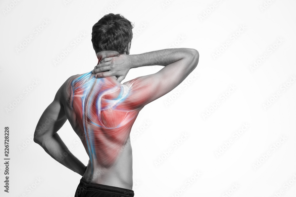 Fototapeta premium Man's back muscle and body structure. Human body view from behind isolated on white background.