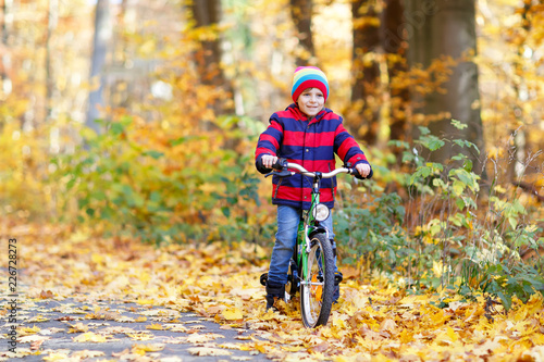 Little kid boy in colorful warm clothes in autumn forest park driving a bicycle