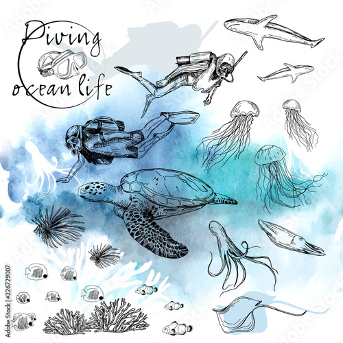 Vector illustration. Pen style vector sketch on underwater theme. Diver and ocean life.