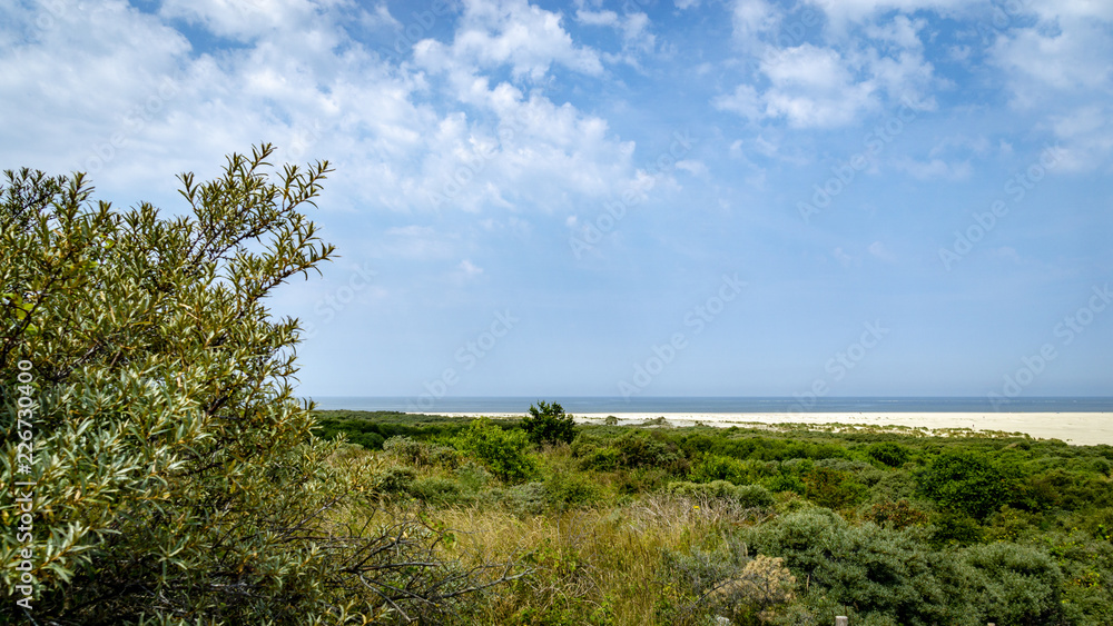 Fototapeta premium Blick auf die Nordsee