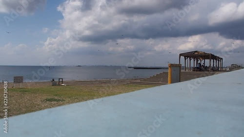 A huge outbreak of dragonfly in the beach of Inage, Chiba, Japan photo