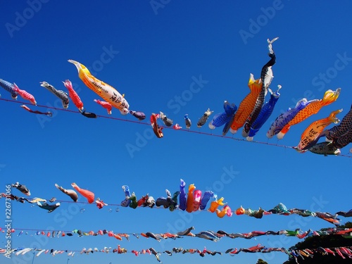 Wallpaper Mural Koinobori, Carp streamer pray for growth of child Torontodigital.ca
