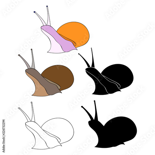 garden snail, set