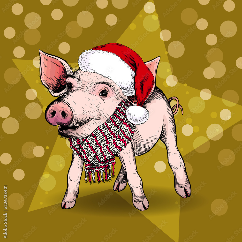 Hand drawn portrait of pig wearing santa hat and scarf. Vector Christmas  illustration. Colored piglet. Xmas, New Year symbol. Print for greeting  card, party flyer, invitation banner. Winter holiday. Stock Vector
