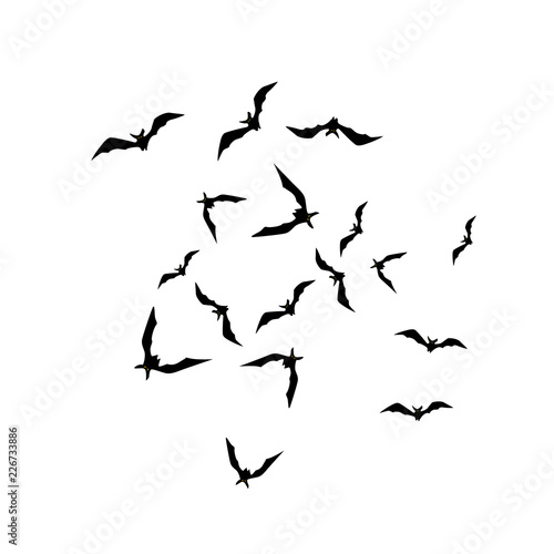 Halloween background with black bats on white. Halloween party card background template. black flying bats.