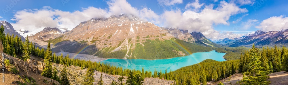 Panoramic view at the Peyto lake with rainbow from Bow Summit in Banff ...