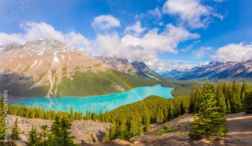 Fototapeta Naklejka Na Ścianę i Meble -  View at the Peyto lake from Bow Summit in Banff National Park - Canadian Rocky Mountains