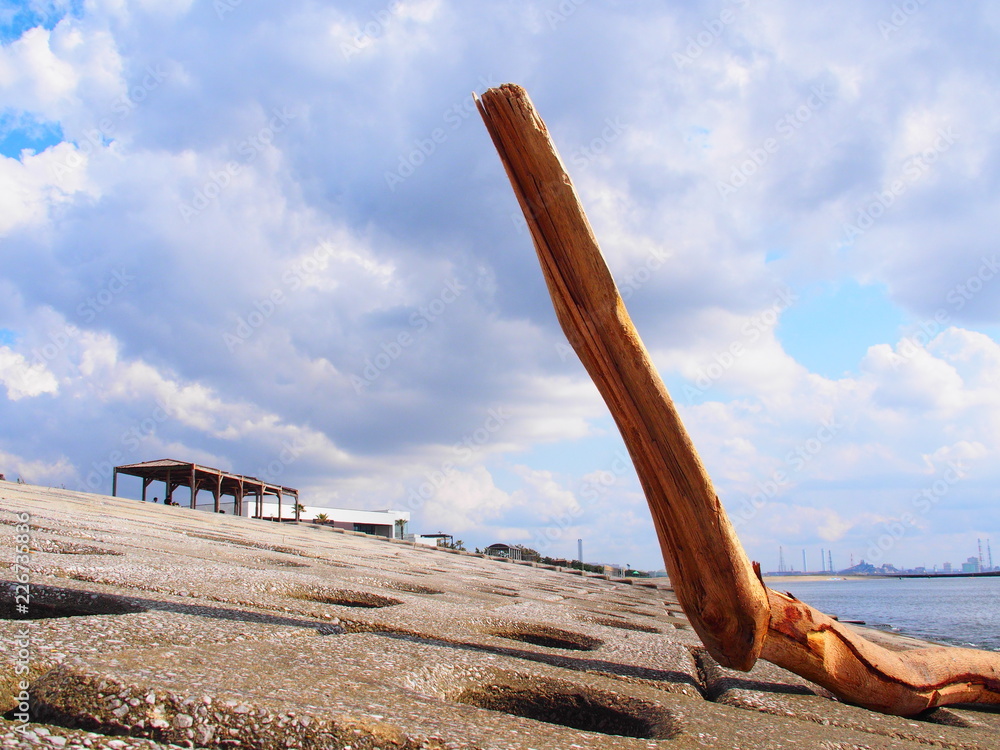 Driftwood by the sore of Inage Beach Park, Chiba, Japan Driftwood by the sore of Inage Beach Park, Chiba, Japan