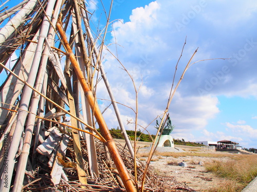 Driftwood by the sore of Inage Beach Park, Chiba, Japan  photo