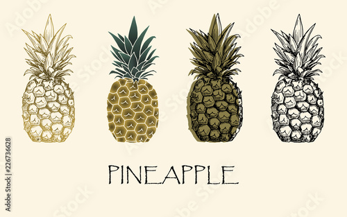 Vector illustration. Sketch drawing pineapple in different styles. Vector objects.