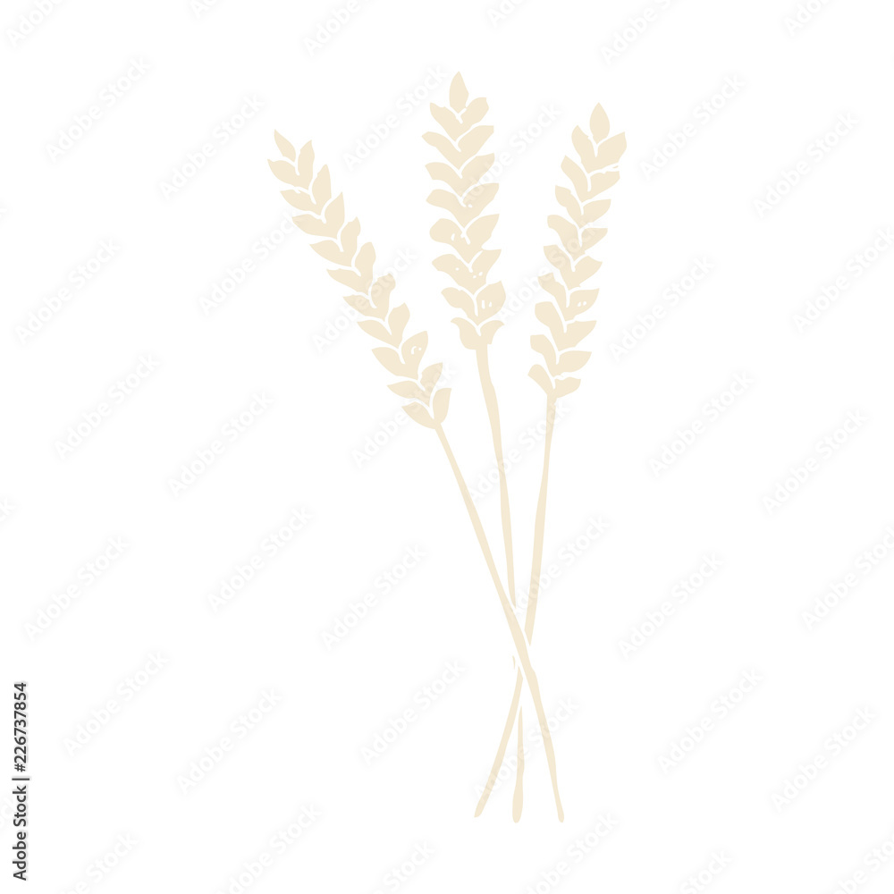 flat color illustration of a cartoon wheat flat color illustration of a cartoon wheat