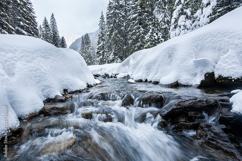 Turbulent river rapids in pictoresque forest during winter. Magical Landscape © DC Studio