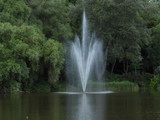 Fountain, water, stream, green, forest
