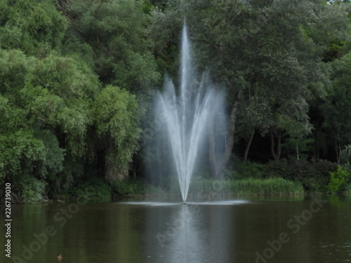 Fountain  water  stream  green  forest