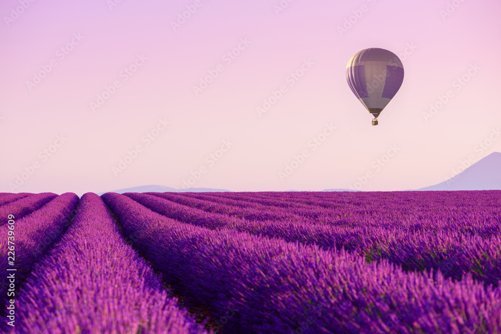 Lavender field rows with hot air balloon in sky near Valensole, Provence, France at summer morning - obrazy, fototapety, plakaty 