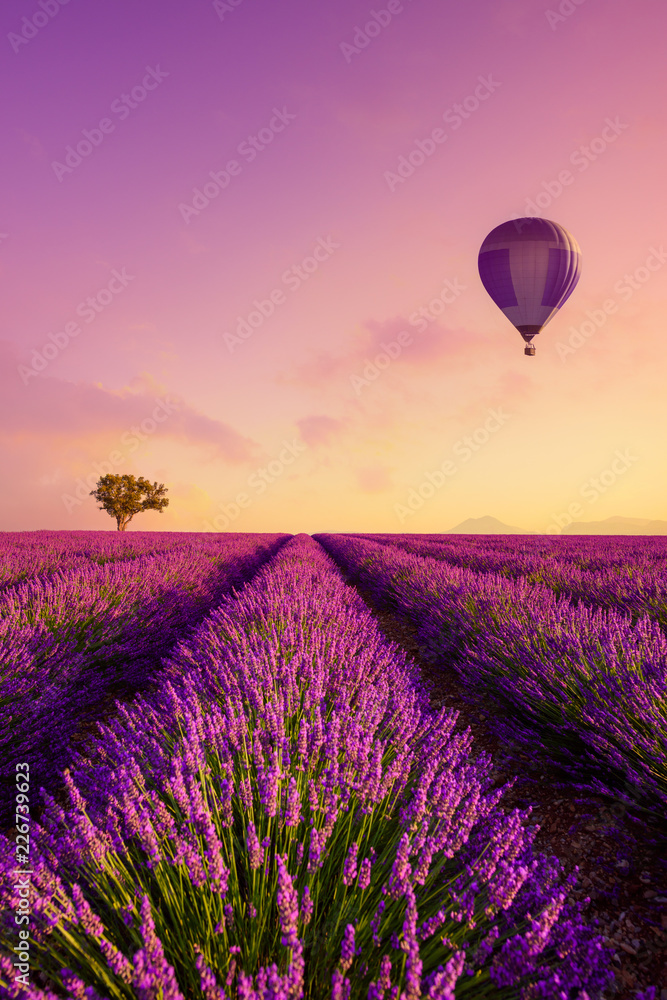 Fototapeta premium Lawenda pola wiersze o wschodzie słońca i balonem Francja Prowansja