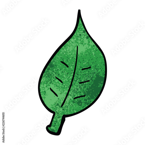 cartoon doodle autumnal leaf