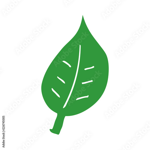 cartoon doodle autumnal leaf