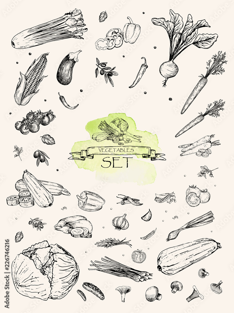 Vector illustration. Sketch drawn vegetables : carrot, beet, pepper, celery, pea, onion, cabbage, tomato, zucchini, eggplant, corn. Pen style vector objects.
