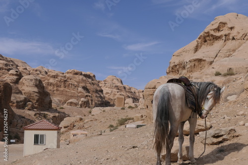 The ancient city of Petra  Jordan