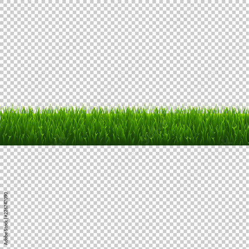 Green Grass Border Isolated Transparent Background