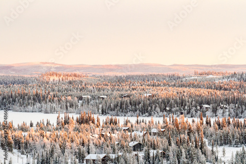 Coniferous forest covered with snow. Beautiful winter view in Finland, Ruka