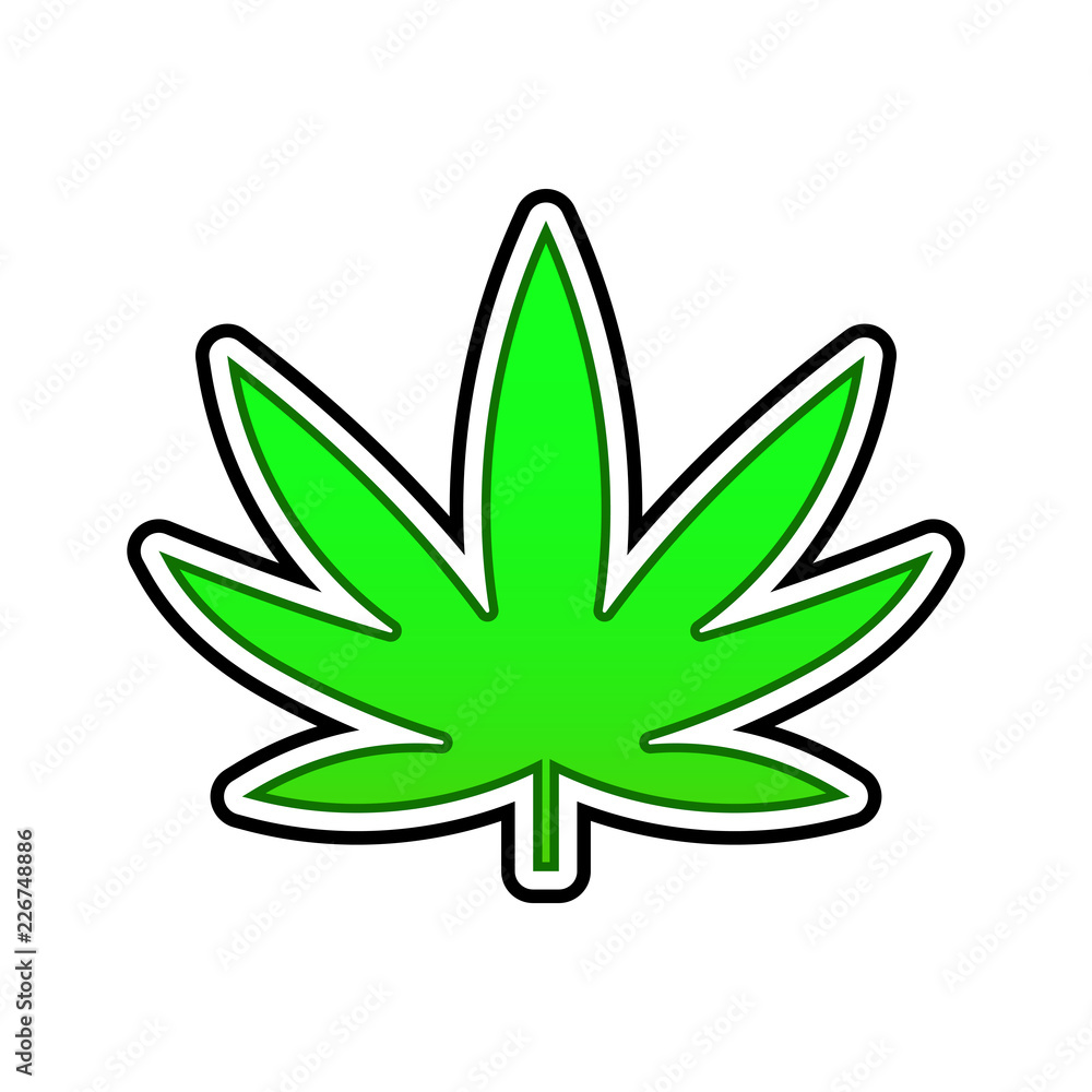 Medical hemp green leaf on white background. Medical hemp green leaf on white background.