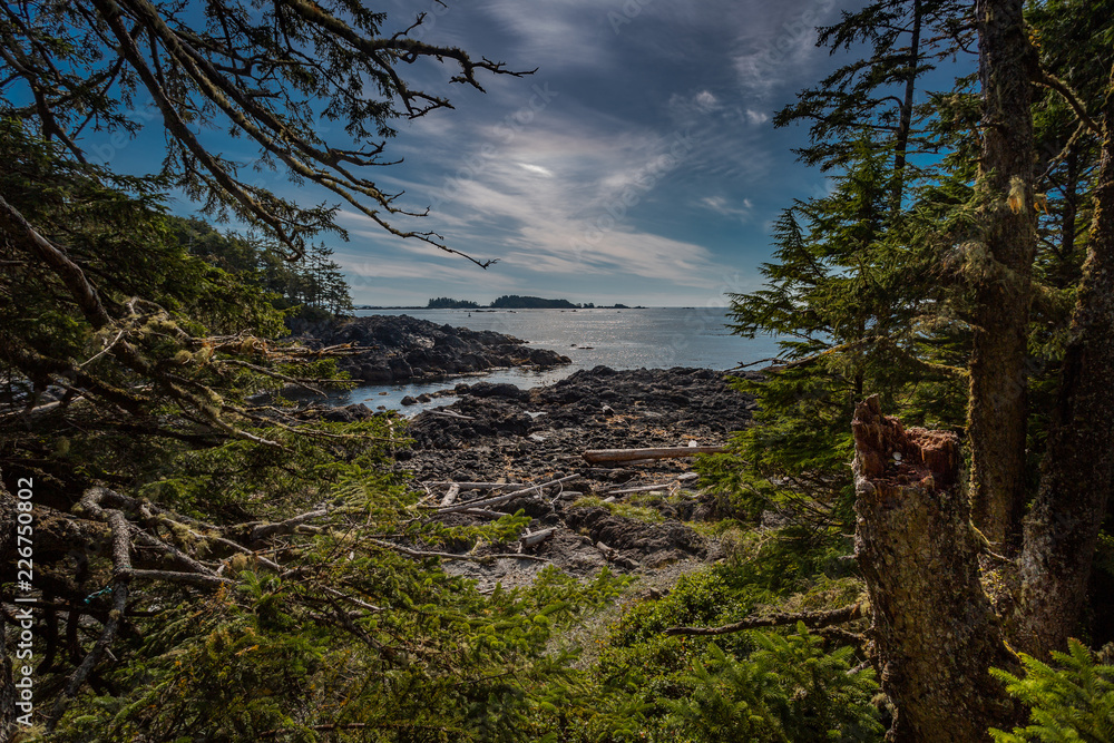 Along the Wild Pacific Trail in Ucluelet on Vancouver Island, British Columbia, Canada