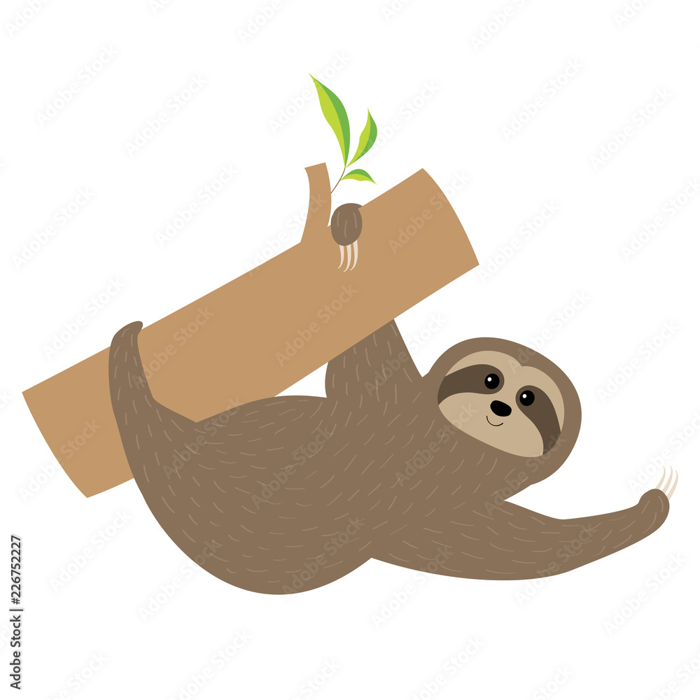 Sloth. Tree branch Cute cartoon character. Fluffy fur. Wild joungle animal  collection. Baby education. Isolated. White background. Flat design Stock  Vector | Adobe Stock