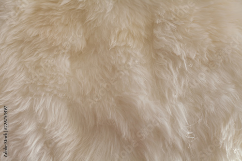 White fur background