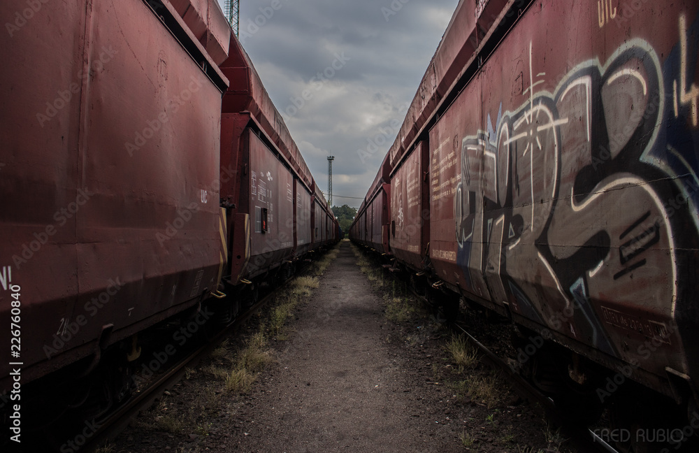 Obraz premium Unknown Path