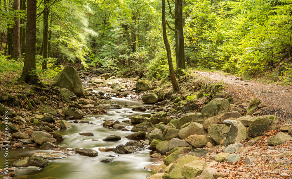 Obraz premium Ilsetal, Harz
