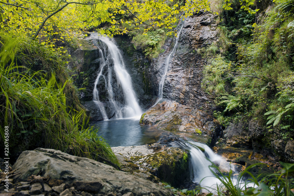 waterfall in forest waterfall in forest